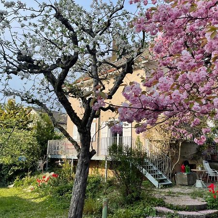 Bed and Breakfast Au Jardin Zuchwil Exterior foto