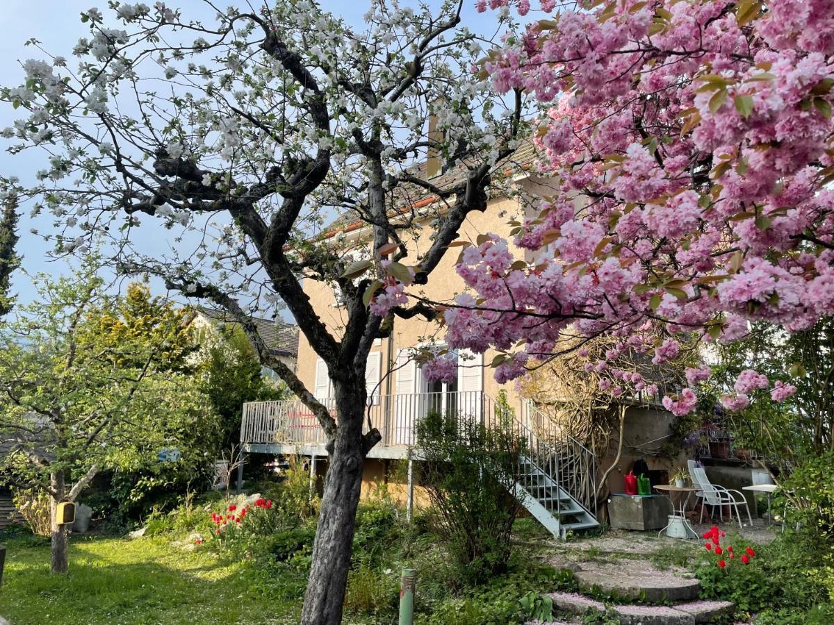 Bed and Breakfast Au Jardin Zuchwil Exterior foto