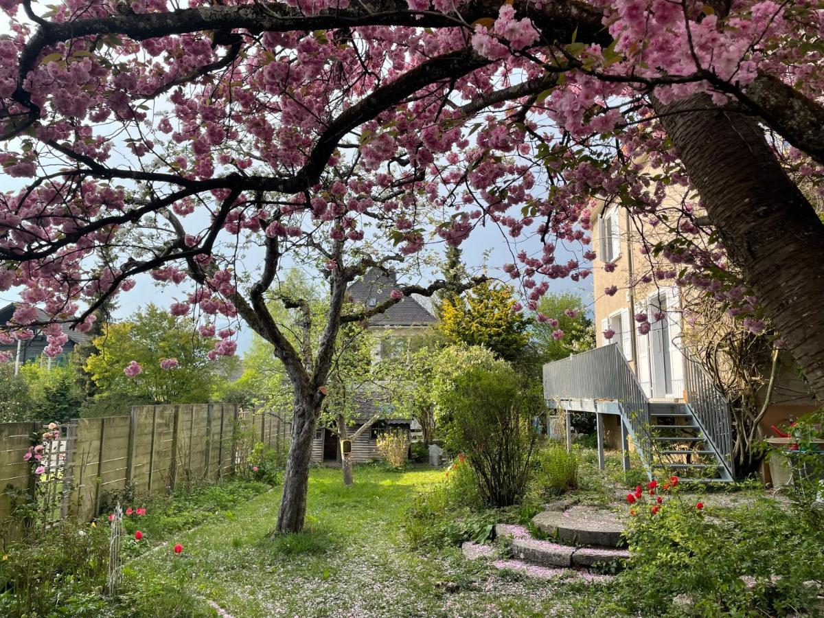 Bed and Breakfast Au Jardin Zuchwil Exterior foto