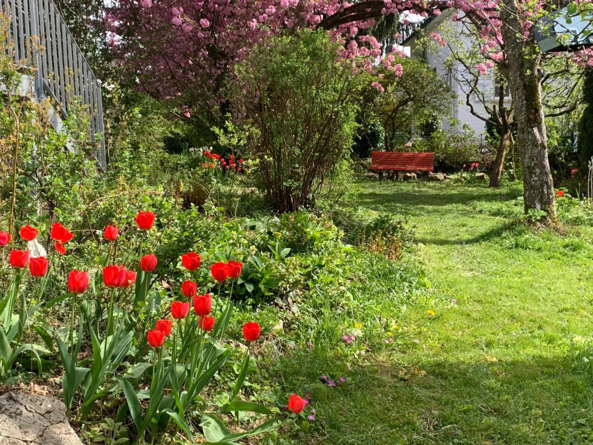 Bed and Breakfast Au Jardin Zuchwil Exterior foto
