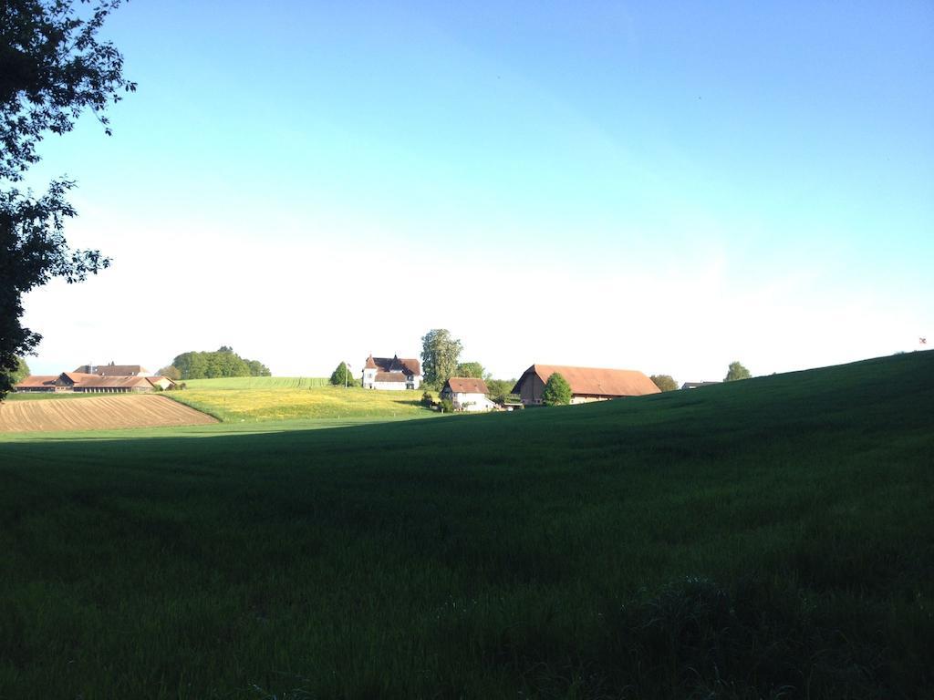 Bed and Breakfast Au Jardin Zuchwil Exterior foto